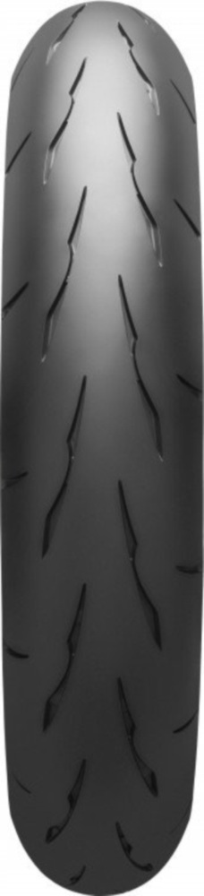Reifen 120/70ZR17 (58W) TL front 1056820