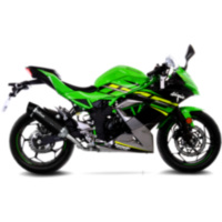 Schalld&auml;mpfer SBK Carbon Lv One 14294E