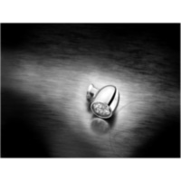 Blinker Blinkleuchte chrom 156100