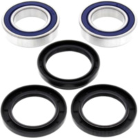 Radlager Satz All Balls Racing 251122