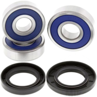 Radlager Satz All Balls Racing 251710