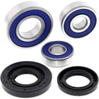 Radlager Satz All Balls Racing 251731