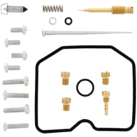 Vergaser Reparatursatz All Balls Racing 261223