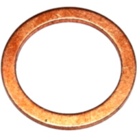 Dichtring OELABLASSS