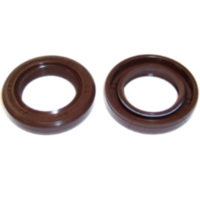 Wellendichtring 19034796B