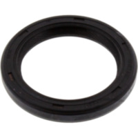 Wellendichtring 19016600B