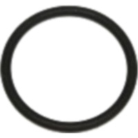 Dichtring FPM ID 904260
