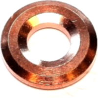 Dichtring DUESENHALTER 688120