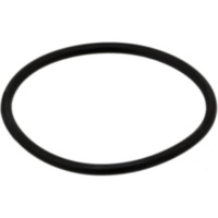 Dichtring ACM ID 843510