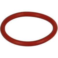 Dichtring FPM ID 456670
