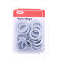 Federringe verzinkt M10