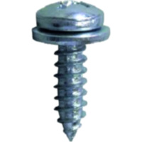 Bolzen Nummernschildschraube 5.5X19 JMP