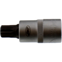 Einsatz Vielzahn 1/2 Zoll M12 SB55M12