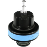 K&uuml;hler Adapter 17