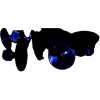 AUSBEULPILZE Satz 9STUECK