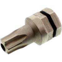 Bit Torx T30 5/16 6 Kant