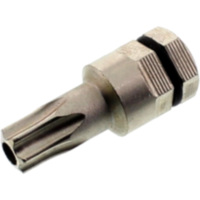 Bit Torx T30 mit Bohrung 2137430