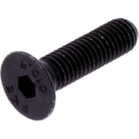 Schraube VERKLEIDUNG