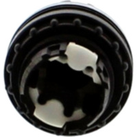 WAHLTASTE alt Nussbaum