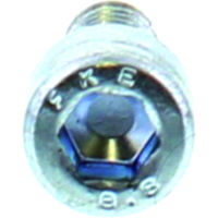 Entl&uuml;ftungsschraube