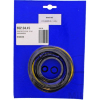 Dichtsatz Zylinder AC