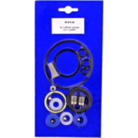 Dichtsatz Pumpe AC 0907400