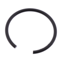 Sicherungsring Tragteller