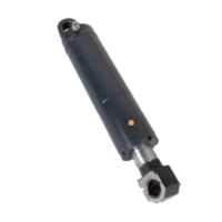 Zylinder komplett links