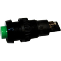 DRUCKTASTER gr&uuml;n