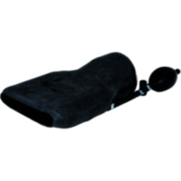 ABGASTUELLE PNEUM NW 100 710926