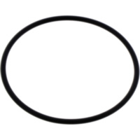 O-Ring SPANNZYLINDER JMP