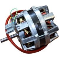 Motor Geodyna Hofmann