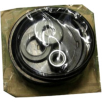 Dichtsatz SPANNZYLINDER 1970763