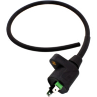 Z&uuml;ndspule f&uuml;r: Piaggio Originalersatzteil CM255202