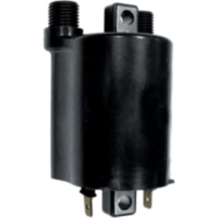 Z&uuml;ndspule 12V 4060