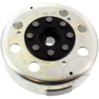 Polrad f&uuml;r: Piaggio Original