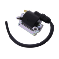 Z&uuml;ndspule f&uuml;r: Kawasaki Original 211211118