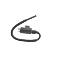 Z&uuml;ndspule f&uuml;r: Kawasaki Original 211211198