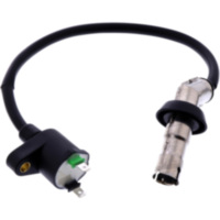 Z&uuml;ndspule Originalersatzteil 981041