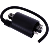 Z&uuml;ndspule f&uuml;r: Cagiva Original