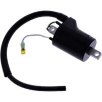 Zündspule Originalersatzteil 981055