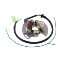 Lichtmaschine Stator JMP 981667