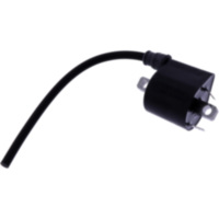 Zündspule Originalersatzteil 1053804