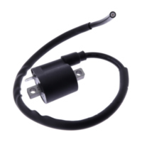 Z&uuml;ndspule 12V JMP 1076805