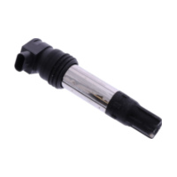 Z&uuml;ndspule ZSE256 Beru