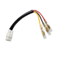 Adapterkabel R&uuml;ckleuchte 207043