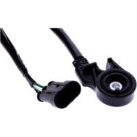 Seitenst&auml;nderschalter f&uuml;r: Ducati Original 53910341A