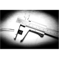 Blinker Blinkleuchte schwarz 153500