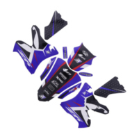 Aufkleber Satz Dream 4 BlackBird Racing 2231N