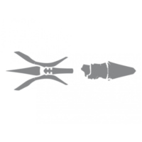 Aufkleber Schlamm BlackBird Racing